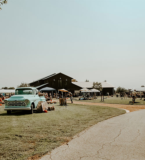 festival in round rock, texas